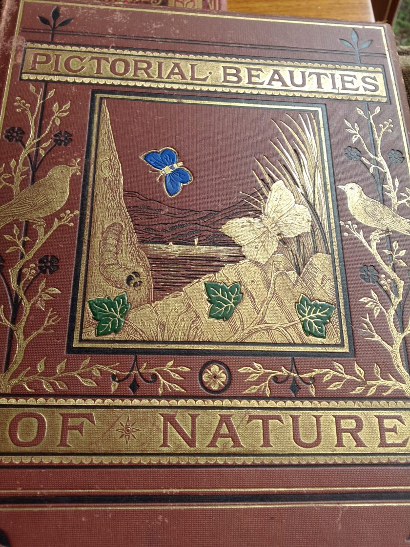 Brown book cover with gold embossing detail showing birds and plants